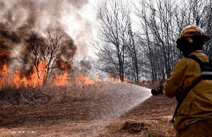 Corrientes: AFIP estudia prórroga de vencimientos y otras medidas de alivio fiscal para afectados por incendios